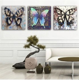 Resim Kanvas Tablo Renkli Kelebekler 3 Parça Set 57 