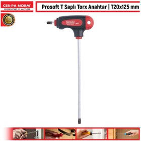 Resim CER-PA NORM Prosoft T Saplı Torx Anahtar | T20 x 125 mm 