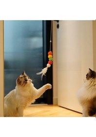 Resim Elastik Kendinden Yapışkanlı Solucan Kedi Oltası 5224 