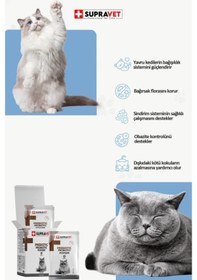 Resim Supravet Toz Probiyotik Prebiyotik 