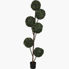 Resim Saksılı 6 Başlı Milano Ağacı 180cm 