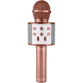 Resim Sprout Karaoke Mikrofonlu Hoparlör - Şarjlı -Bluetooth Rose Gold 