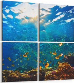 Resim Olla 125x125 Cm 12077k4 Akvaryum / Balık Görseli Kare 4'lü Kanvas Tablo 