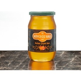 Resim Köyceğiz Balı Bahar Çiçek Balı Cam Kavanoz 450 G 