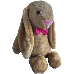 Resim Uzun Kulak Uyku Arkadaşım Bunny Peluş Tavşan 65 Cm - Çocuğunuzun Uyku Arkadaşı Kahverengi 