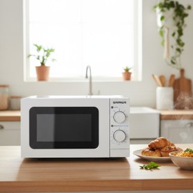 Resim Genel Markalar G10172 20L Retro Beyaz Mikrodalga Fırın 
