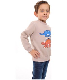 Resim Toontoy Kids Toontoy Erkek Çocuk Nakışlı Sweatshirt Bej 