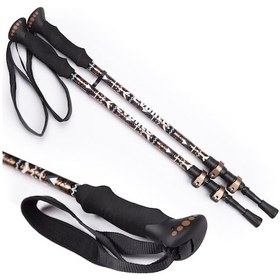 Resim Evolite Golden Quick-Lock Dıştan Kilitli Trekking Batonu 