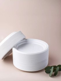 Resim Anutka 300 Adet Tek Kullanımlık Plastik Tabak Seti 70528200 Beyaz 