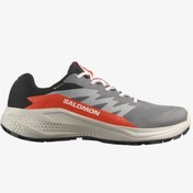 Resim Salomon Alpha Glide Gtx Gore-tex L47975300 Erkek Spor Ayakkabı Gri 