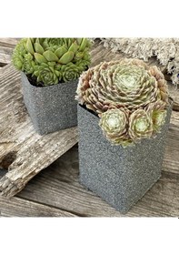 Resim Dupli-color Granit Efekt Sprey Boya 400 Ml Açık Gri 