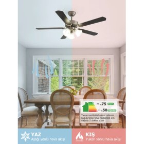 Resim Dlc Brısote Mat Krom Tavan Vantilatörü 132 cm 