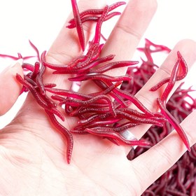 Resim 50 adet Gerçekçi Kırmızı Solucan Balıkçılık Yemleri - 4cm ve 8cm Biyonik Kenebeler, Tatlısu ve Tuzlu Su Oltaçıları için Yumuşak Kauçuk Toksik Olmayan Yüksek Kaliteli Yem 