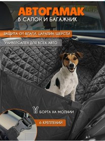 Resim Avtostil' Araba İçin Koruma Örtüsü, Köpekler İçin Oto Hamak 263834707 