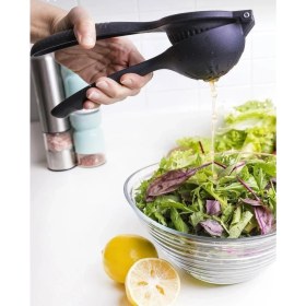 Resim Kitchen Pembelia Büyük Boy Döküm Portakal Limon Narenciye Sıkacağı Presi 