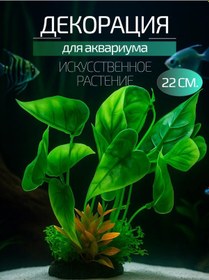 Resim Zoopro Akvaryum Bitkileri 22 Cm 166051716 