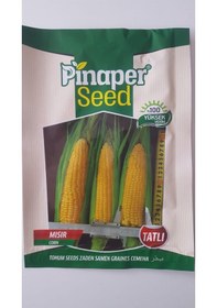 Resim Mısır Tohumu 1 Paket 