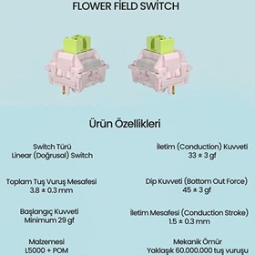 Resim Aula Leobog Huatian Lineer 100 Adet Mekanik Switch 