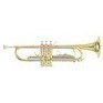 Resim Roy Benson TR-202 Trompet 