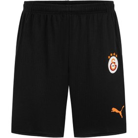 Resim Puma Giyim Kulüp Takımları Galatasaray Sk 2024/2025 Erkek Futbol İç Saha Şortu 