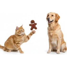 Resim Ttt Sesli Bisküvi Adam Isırma Oyuncağı 