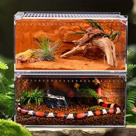 Resim Şeffaf Manyetik Akrilik Sürüngen Teraryumu - Küçük Sürüngenler, Gekko'lar, Kurbağalar, Kertenkeleler, Yılanlar, Tarantulalar, İguanalar, Leopar Gekko'ları, Tüyli Gekko'lar, Mantisler ve Akrep ile Tropikal Yağmur Ormanı Habitatları İçin Uygun 