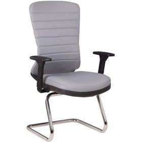 Resim Dekormila Guti Antrasit Deri Misafir Koltuğu Gri 