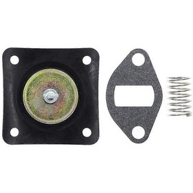 Resim Kohler K301 K321 K341 K181 K161 Motorları İçin Yakıt Pompası Yenileme Kiti - Huiliang 