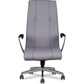 Resim Ekip Ofis Yönetici ve Müdür Koltuğu 
