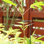 Resim 2 adet, Demir Bitki Destek Direği 39.88cm*6.3cm, Bitki Destek Çubukları, Çiçek Bahçesi Destek Direkleri Bitki Çubuk Destekleri Kafes Halkaları, İç ve Dış Mekan Bahçe Malzemeleri 