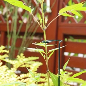 Resim 2 adet, Demir Bitki Destek Direği 39.88cm*6.3cm, Bitki Destek Çubukları, Çiçek Bahçesi Destek Direkleri Bitki Çubuk Destekleri Kafes Halkaları, İç ve Dış Mekan Bahçe Malzemeleri 