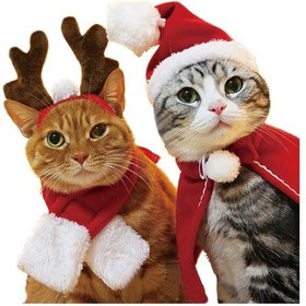 Resim Qingmipy Köpek Ve Kedi Bayramı Atkısı - Yumuşak Kumaş, Kolay Kullanim, S Boy, Kırmızı - Tatillerde Sevimli Dekorasyon Çok Renkli 