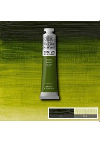 Resim Winsor&Newton Winton Yağlı Boya 200 ML No:37 Sap Green 