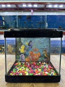 Resim Renkli Kare Mini Akvaryum 20x20x15 Siyah 