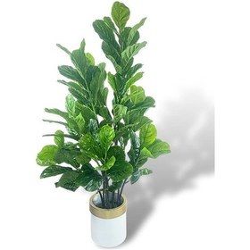 Resim Yapay Ağaç Keman Yapraklı Kavuçuk Yeşil Salon Bitkisi Beyaz Gold Galvaniz Saksıda 140cm 