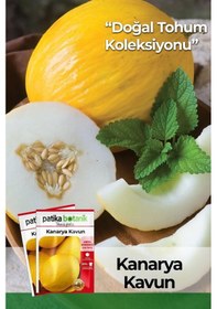 Resim 50 Adet Kanarya Kavun Tohumu 