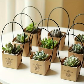 Resim Mini Sukulent Hediye Kutuları | 40 Adet Kraft Kağıt Siyah Saplarla | 'Aşk Büyüsün' Baskılı Tasarım | Çok Amaçlı: Ev Hediyesi, Yıldönümü, Gençler Duşu, Gelin Duşları & Şükran Günü | Küçük Bitkiler İçin Yüksek Kaliteli Bitki Kapları | Öğretmen Takdiri & Genel Kutlamalar İçin İdeal 