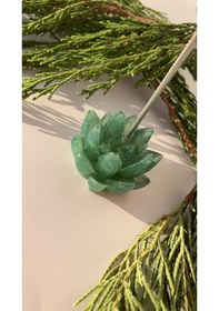 Resim Çimen Yeşili Renk Gasteria Gracilis Şekil Sukulent Epoksi Notluk 