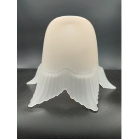 Resim Kuğulu Avize Avize Camı.somon-Mat Renkte.6,kanatlı.(E.27) 