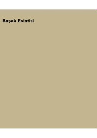 Resim Marshall Antibakteriyel Hijyen İpek Mat Boyası 2.5 L 