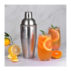 Resim Epinox SH-50 Paslanmaz Çelik Shaker, 500 ml 