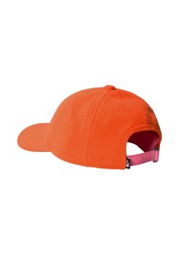 Resim The North Face Denalı Norm Hat Şapka Nf0a88869fo1 Çok Renkli 