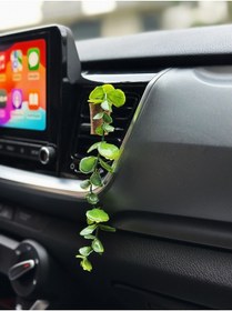 Resim Plantarrium Design Oto Aksesuar/Koku-Yapay Okaliptus 