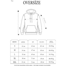 Resim Barlashive Erkek 3 İplik Pamuklu Kapüşonlu Cepli Oversize Hoodie Sweatshirt - Gri Çok Renkli 