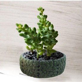 Resim Beton Saksı Silikon Kalıp - 184 