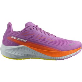 Resim Salomon Aero Blaze 2 Kadın Yol Koşusu Ayakkabısı Kadın YOL KOŞUSU AYAKKABISI L47426300 