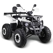 Resim Volta 4M801-9900A-03 Ra5 Quadrıcycle Offroad Atv Beyaz 