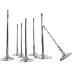 Resim Opel Agila A B Astra H Combo C Corsa C D Meriva A 1.3 CDTI 2003 Sonrası 8'li Emme Subap Valfi (21,9x6x109,3 mm) 