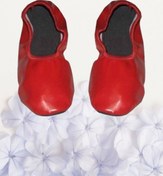 Resim Genel Markalar Unısex 23 Nisan Pisi Balo Dans Gösterisi Ayakkabısı Babet R24 