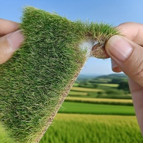 Resim Elle Yırtılabilir Statik Çim Tuft Yeşil Arazi Seti - Oyuncak Tren Manzarası için Miniatur Çalılar ve Bitkiler, Yapay Çim Modelleme 